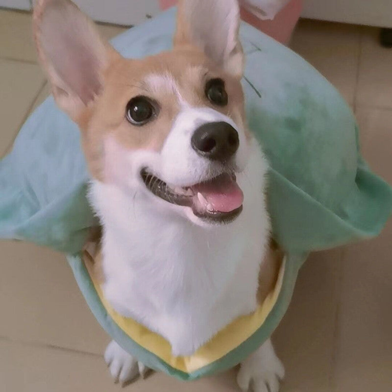 Turtle Fwends! Shell Pet Vest