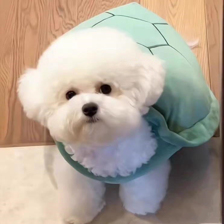 Turtle Fwends! Shell Pet Vest